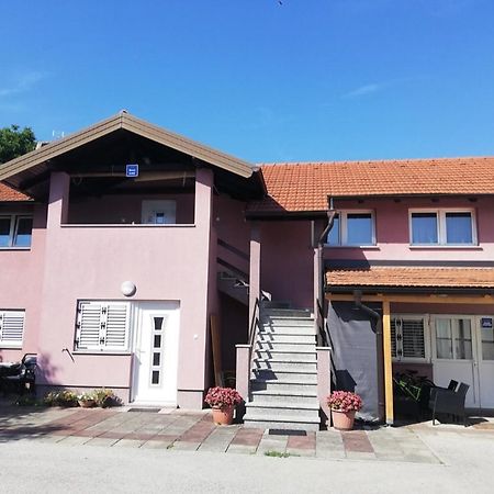 Guest House Lucija Buzin エクステリア 写真