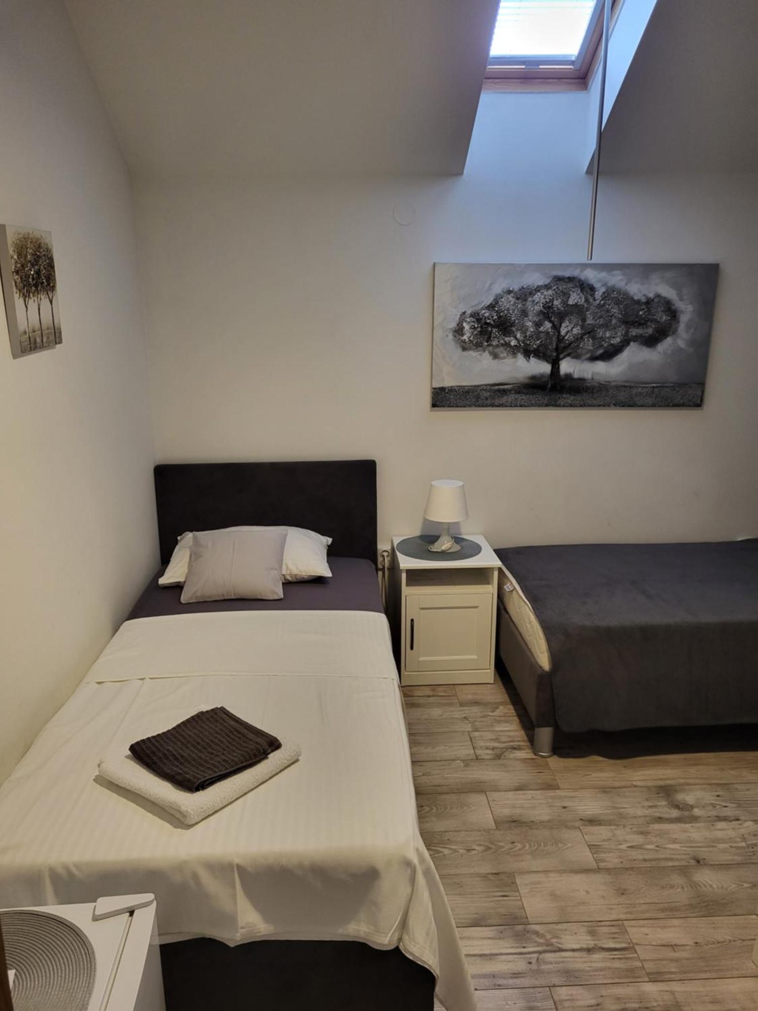 Guest House Lucija Buzin エクステリア 写真
